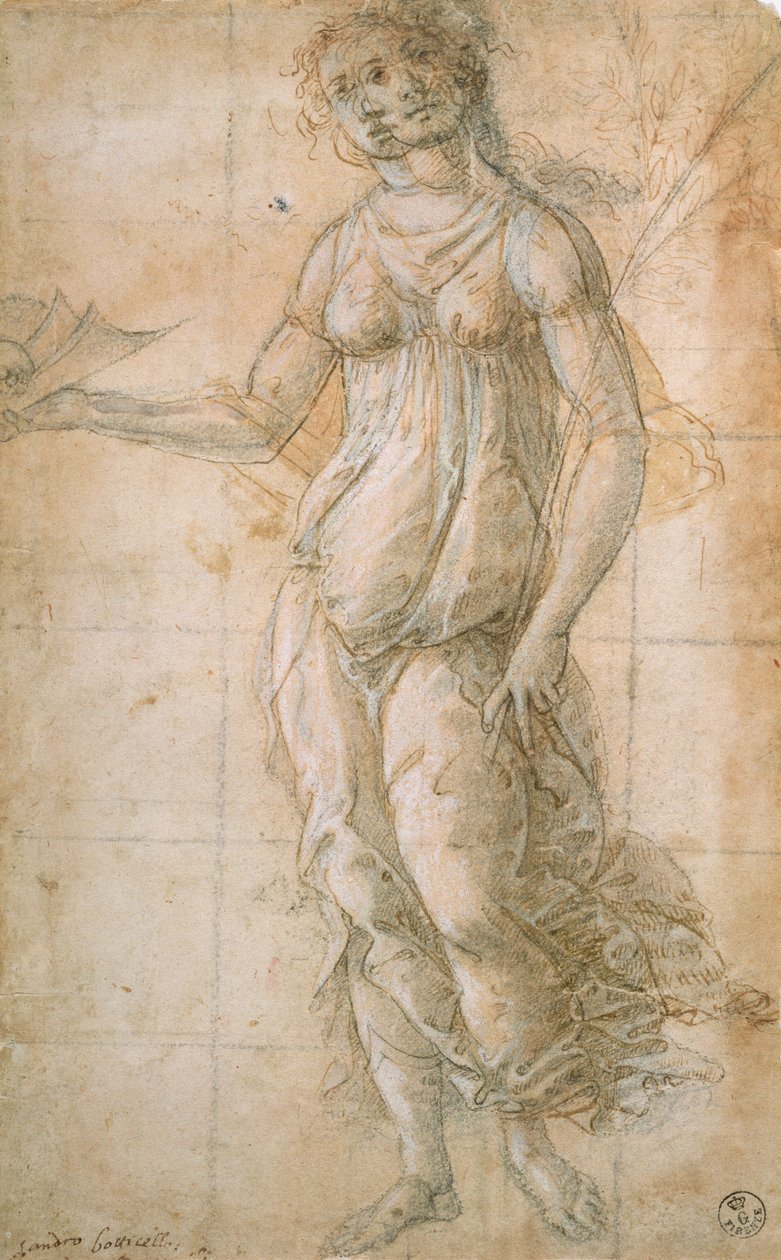 Studio di Atena da Sandro Botticelli