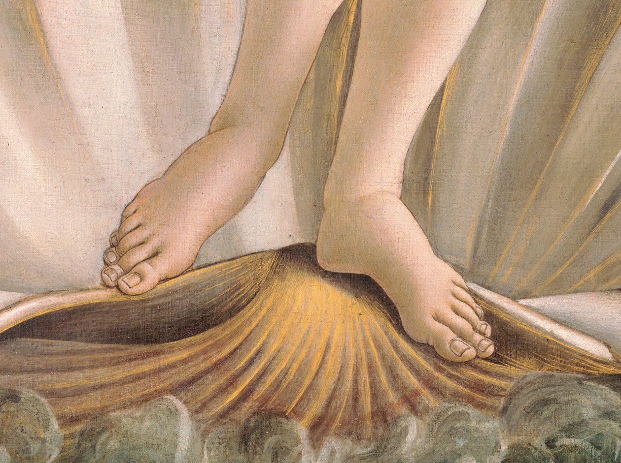 La nascita di Venere da Sandro Botticelli
