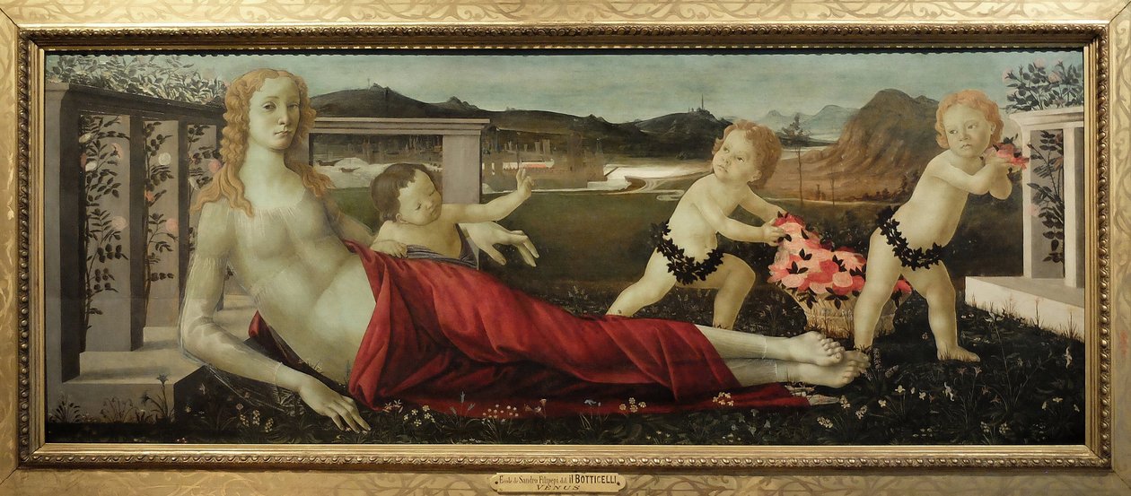 Immagine Sconosciuta da Sandro Botticelli