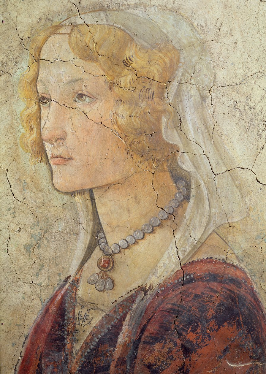 Venere e le tre Grazie offrono doni a una ragazza, (dettaglio della testa della ragazza) da Sandro Botticelli