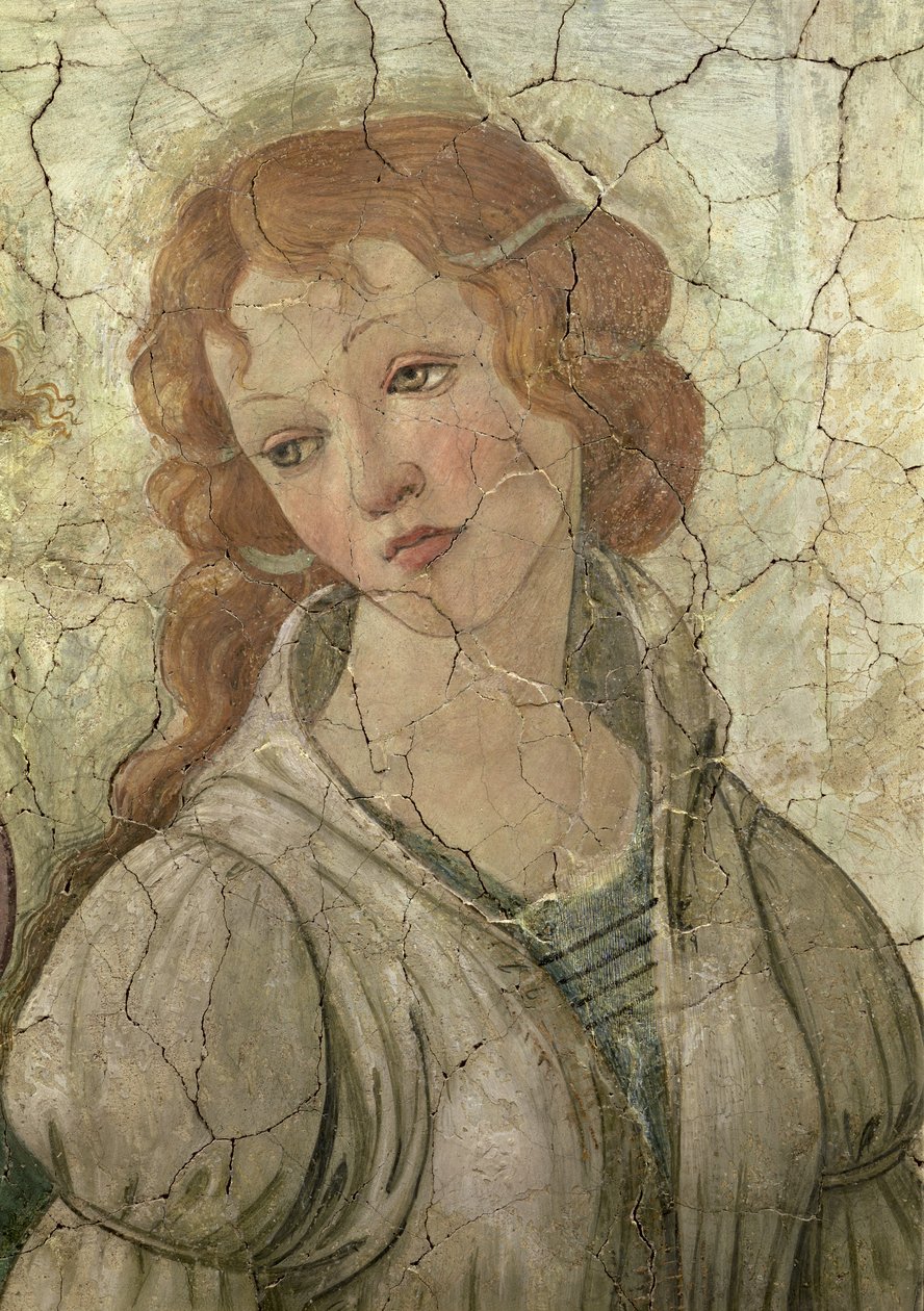 Venere e le tre Grazie offrono doni a una giovane ragazza, (dettaglio di una delle Grazie) da Sandro Botticelli