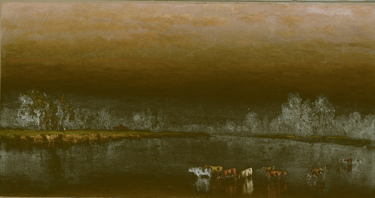 Mucche in uno stagno al tramonto da Sanford Robinson Gifford