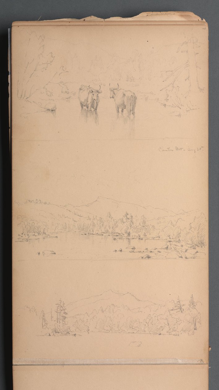 Taccuino, pagina 07: "Carter Mt (?) 28 agosto" da Sanford Robinson Gifford