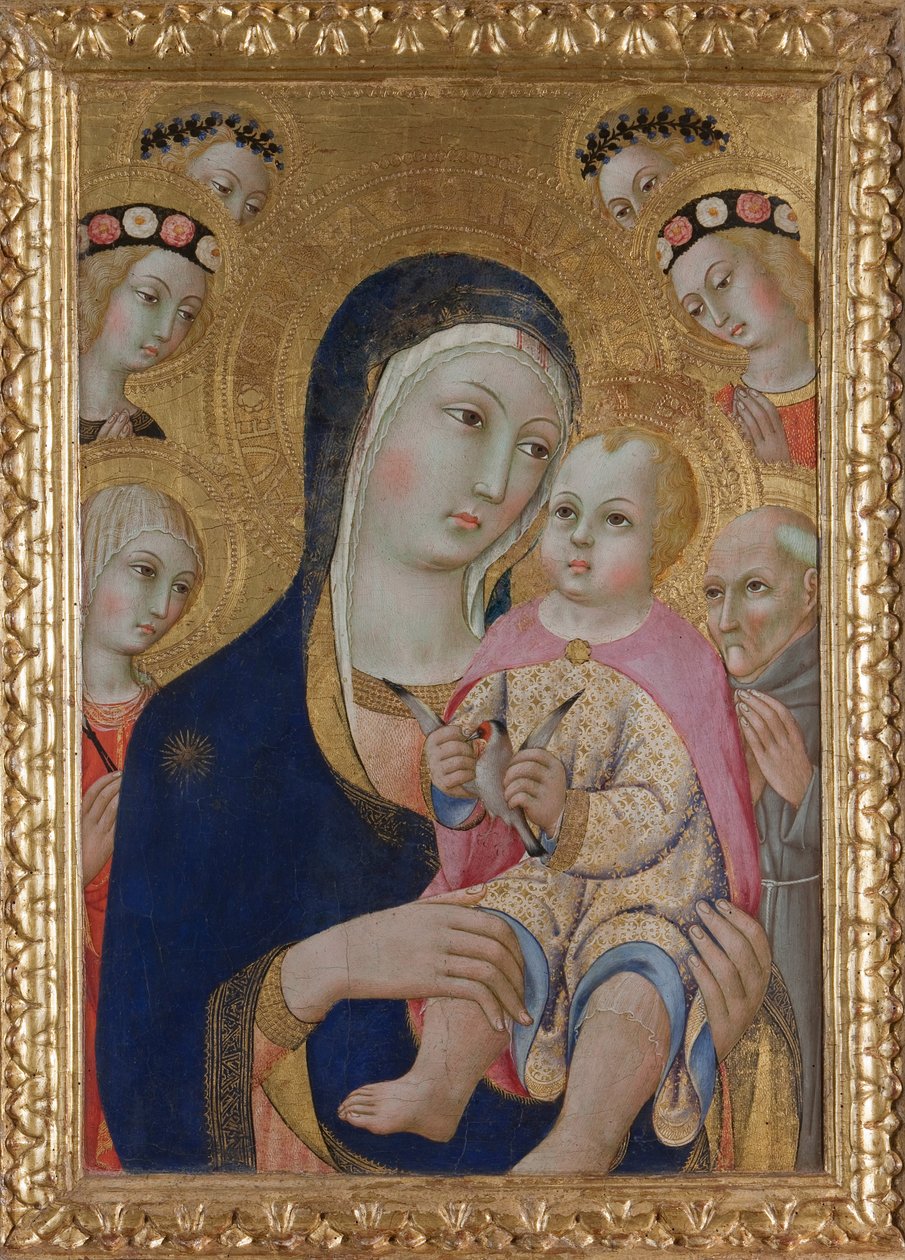Madonna con Bambino, Santi Apollonia e Bernardino e quattro angeli, ca 1460 da Sano di Pietro