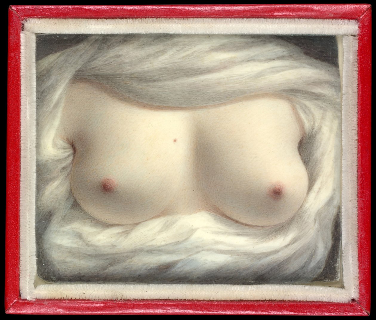 Bellezza rivelata da Sarah Goodridge