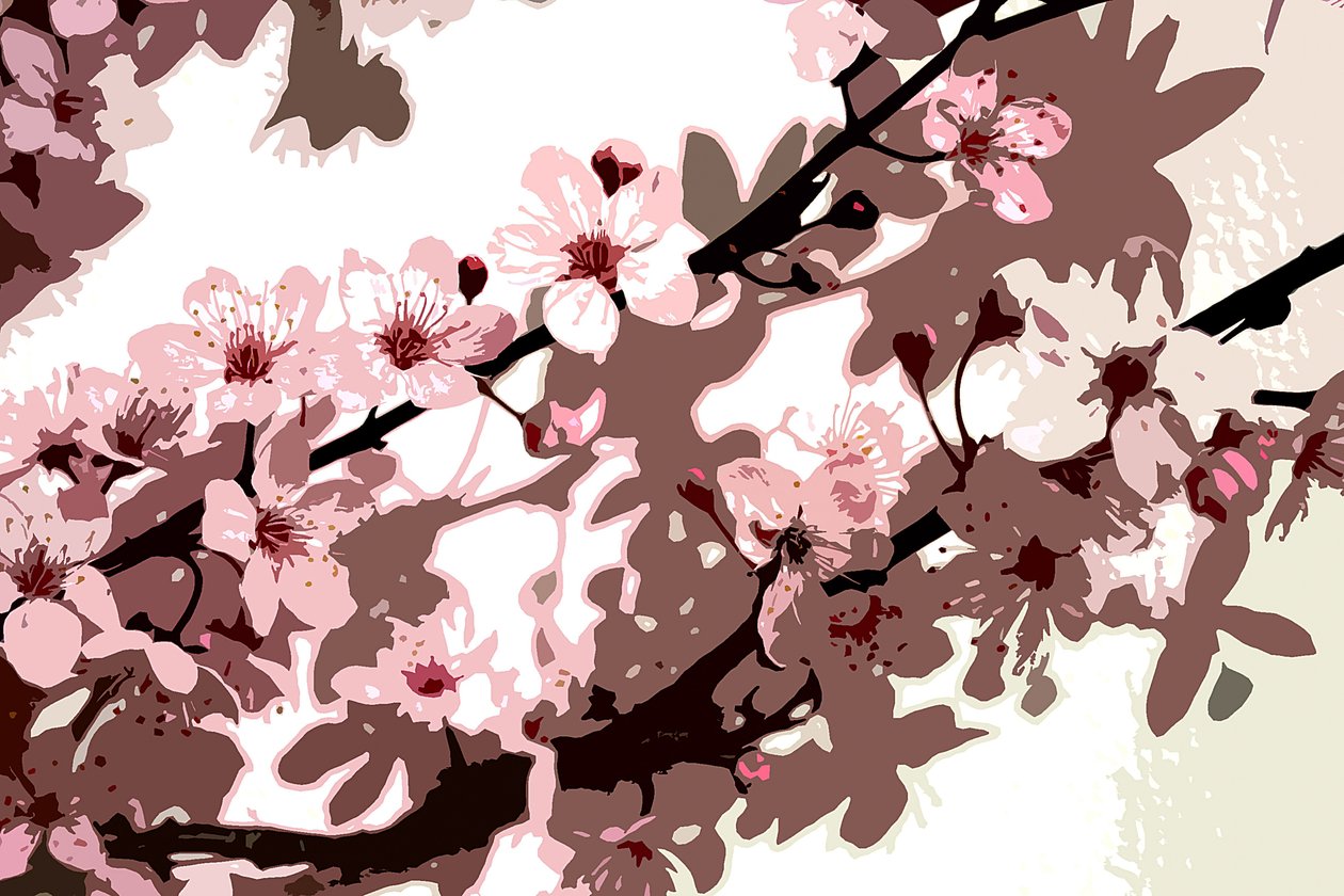 Fioritura giapponese da Sarah OToole
