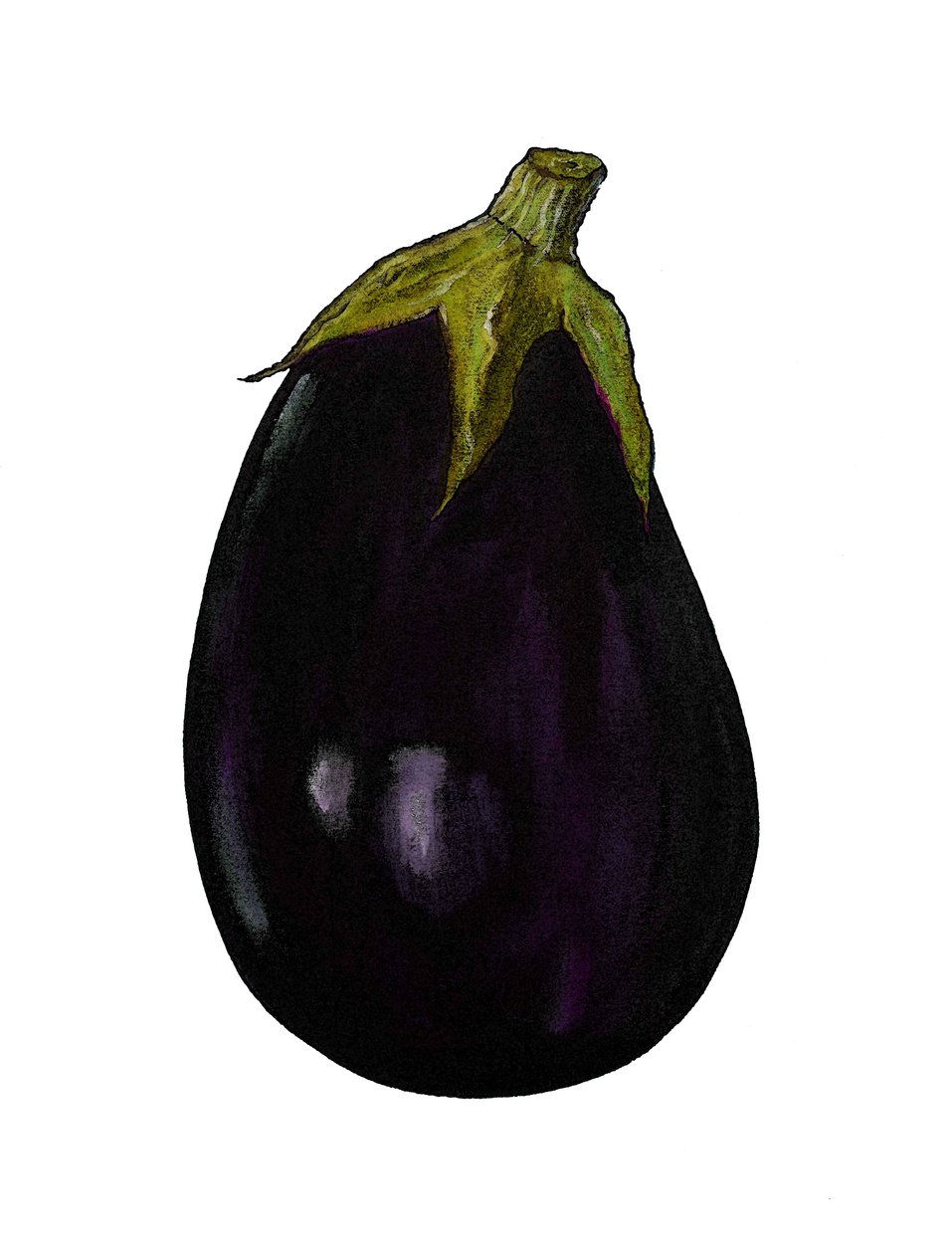 Melanzana viola da Sarah Thompson Engels
