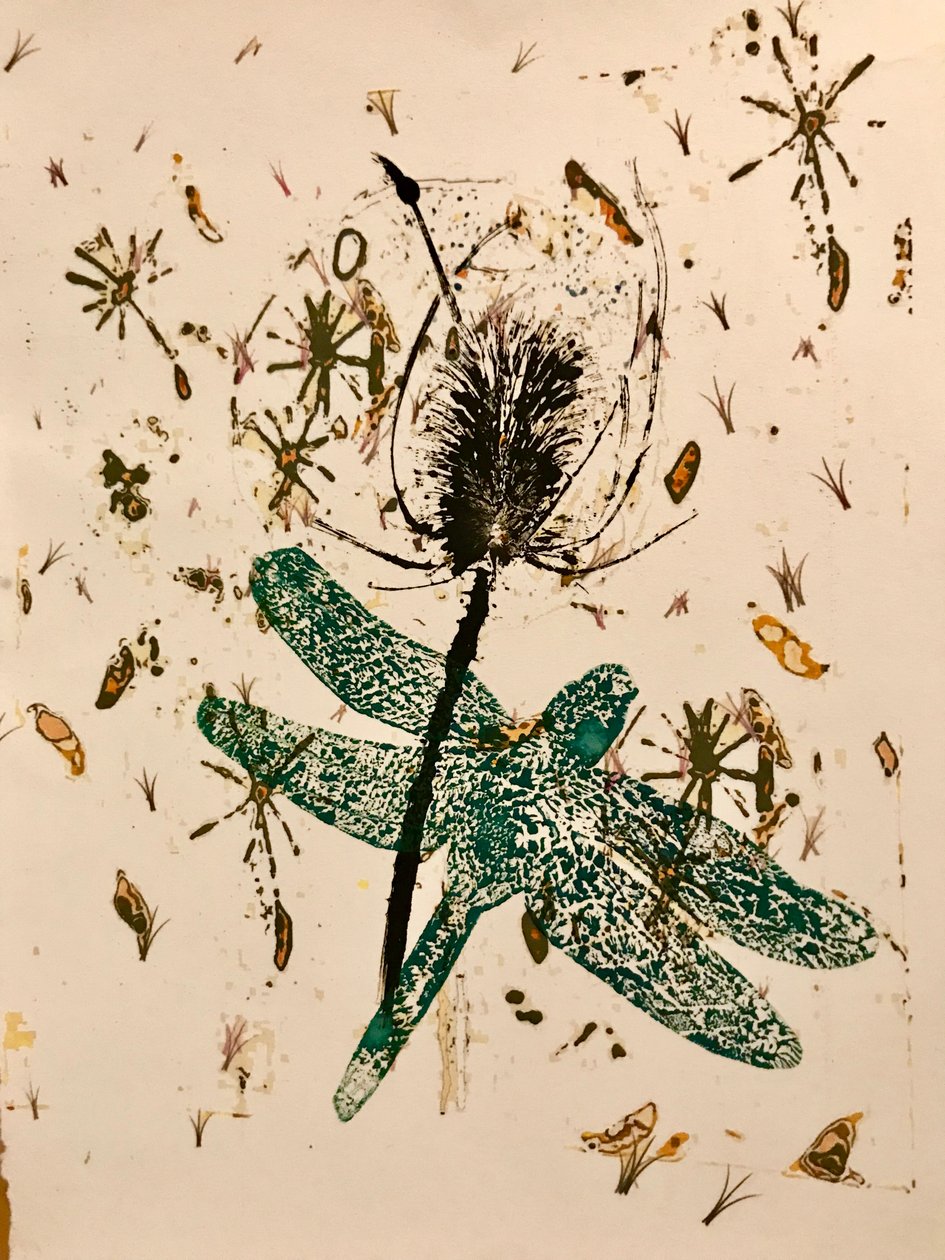 Cardo dei lanaioli da Sarah Thompson Engels