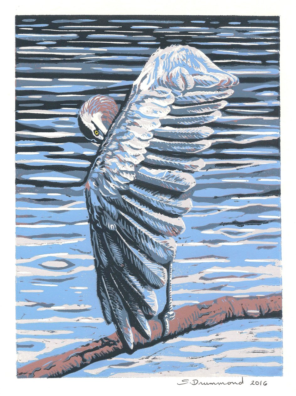 Riflessione, 2016 (dipinto) da Sarah Drummond