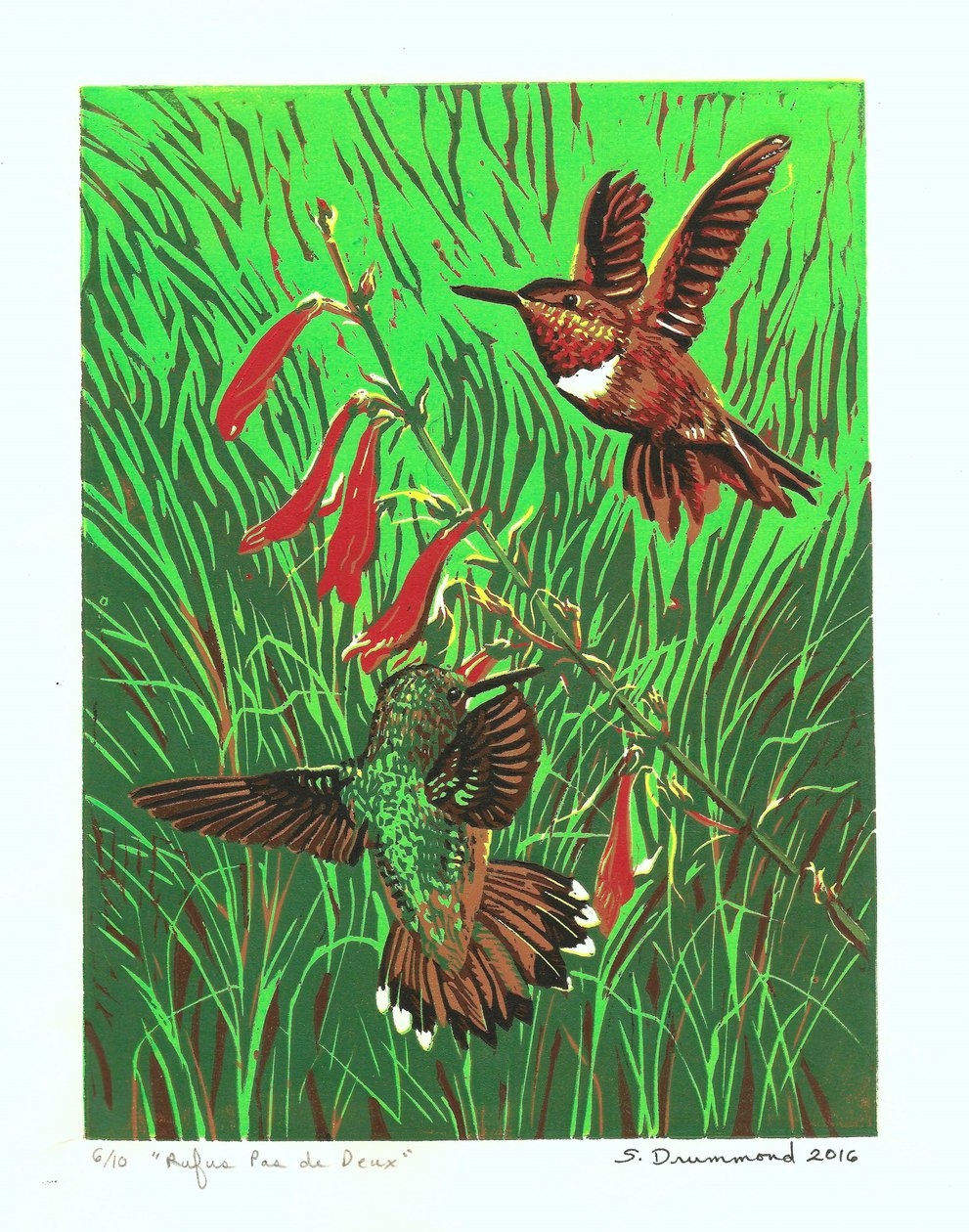 Rufus Pas de Deux, 2016 (Linocut) da Sarah Drummond