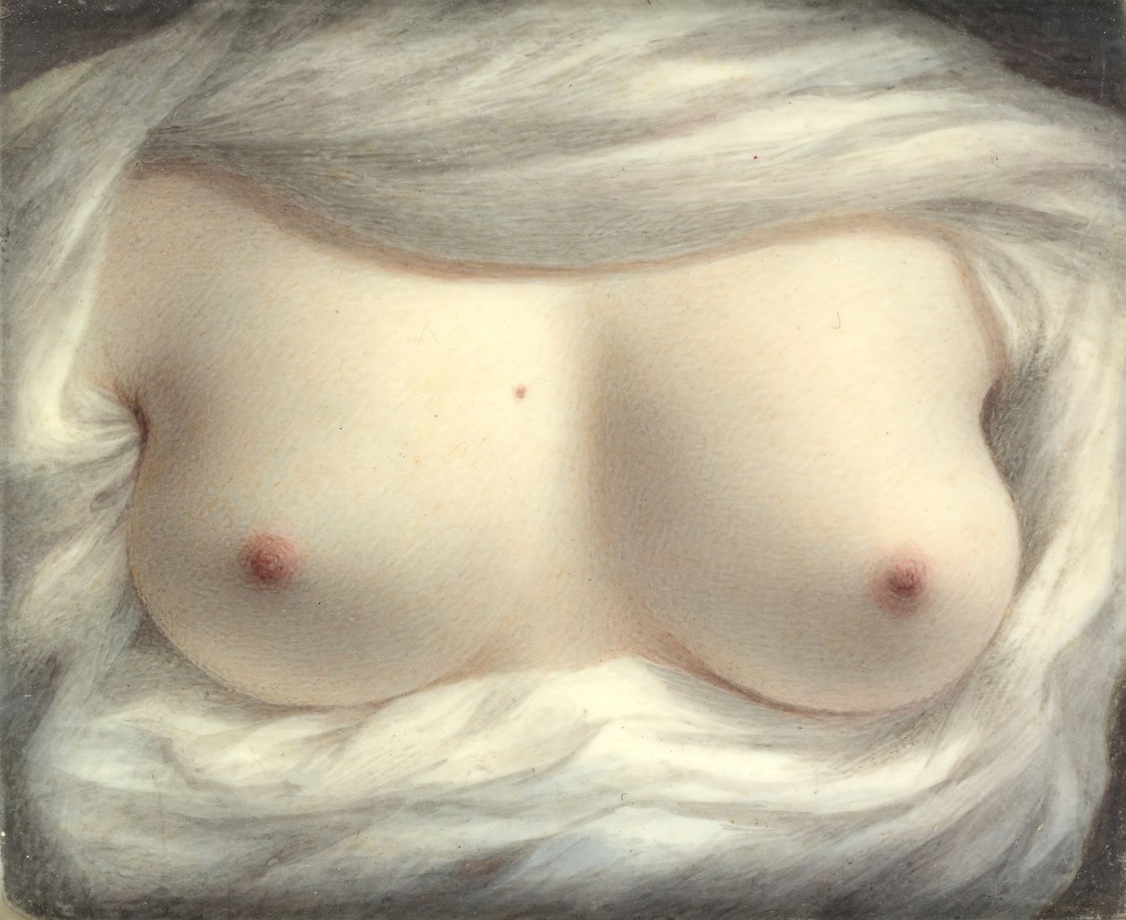 Bellezza rivelata, 1828 da Sarah Goodridge