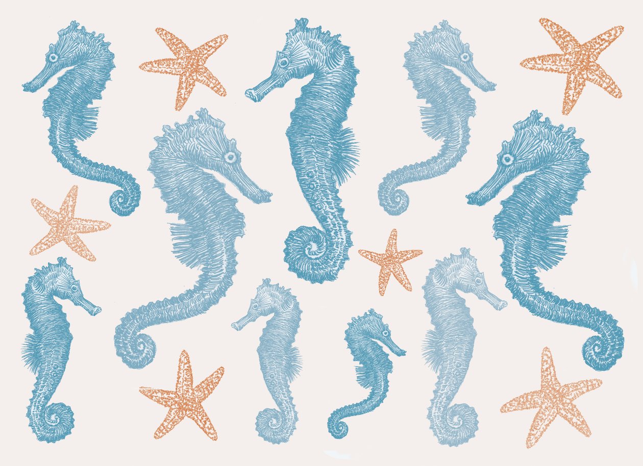 Cavallucci Marini e Stelle Marine, 2017 da Sarah Hough
