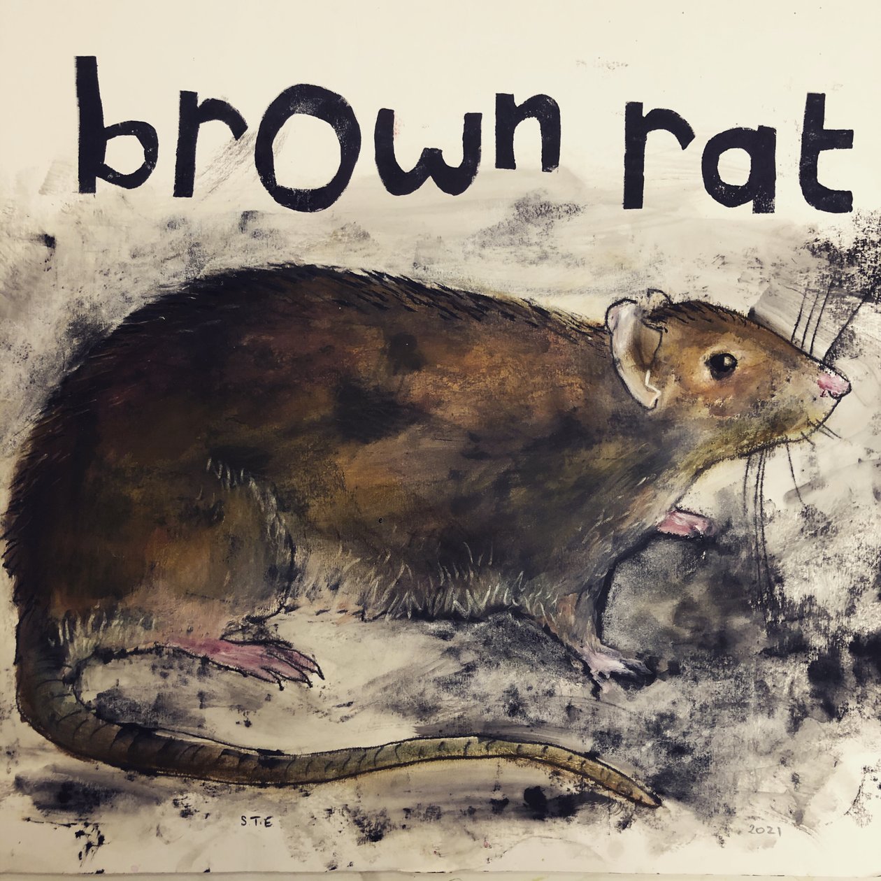 Ratto marrone da Sarah Thompson Engels