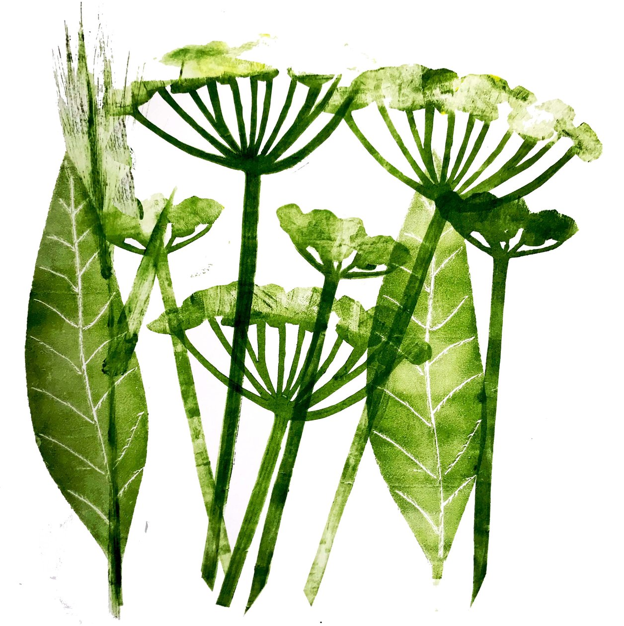 Prezzemolo selvatico in verde, 2019 da Sarah Thompson Engels