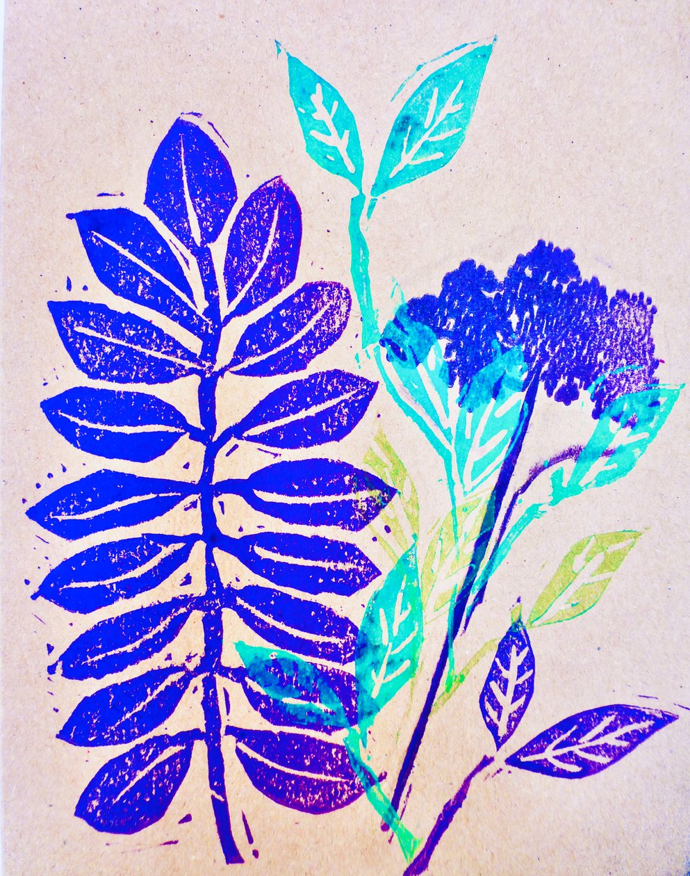 Flora da Sarah Thompson Engels