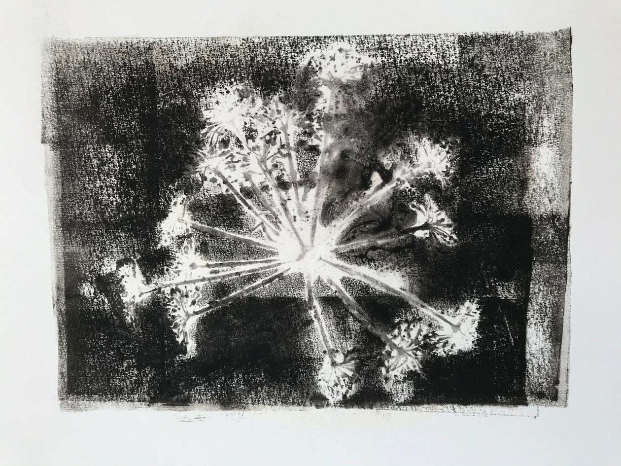 Testa di seme II, 2020 da Sarah Thompson Engels