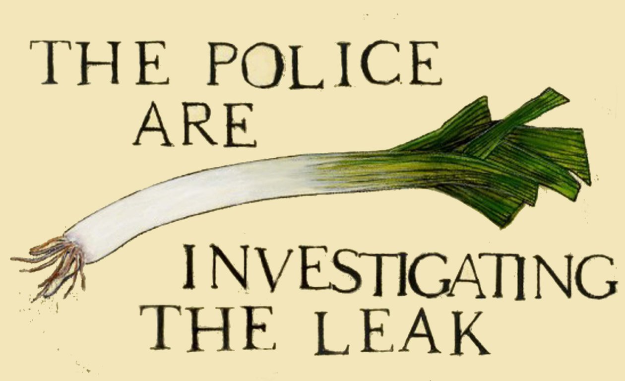 La polizia sta indagando sulla fuga di notizie da Sarah Thompson Engels