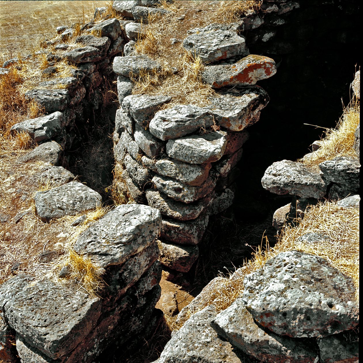 Cultura nuragica (nuraghi) sarda: rovine della città nuragica sul sito megalitico di Losa: una delle torri difensive. XV secolo a.C. Abbasanta, Sardegna, Italia da Sardinia Nuragic Civilization