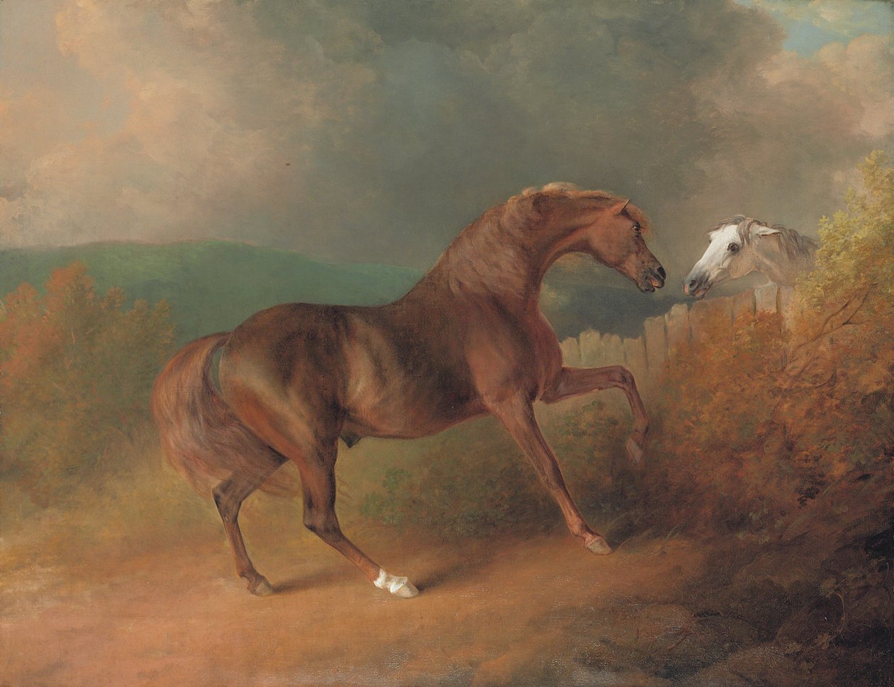 Giove del colonnello Thornton, da Eclipse fuori da una giumenta di Tartar, vicino a una staccionata, con una giumenta grigia, a Thornville Royal da Sawrey Gilpin
