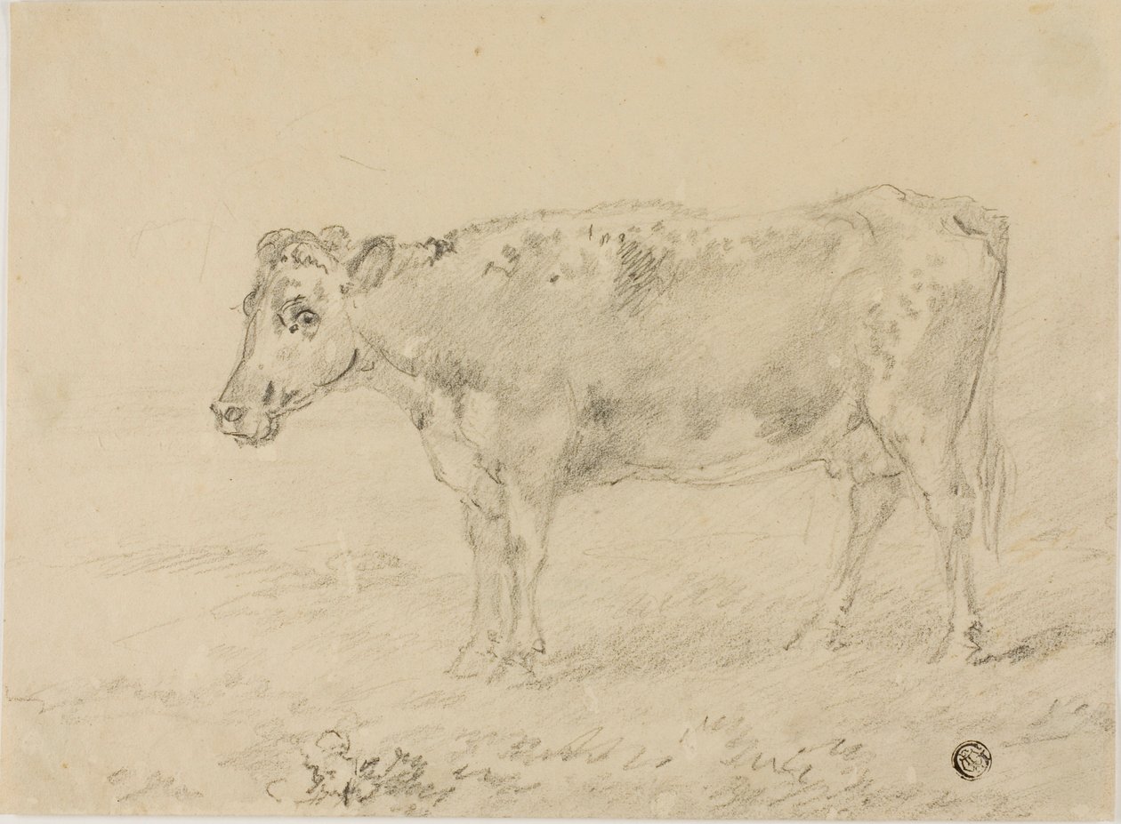 Mucca da Sawrey Gilpin