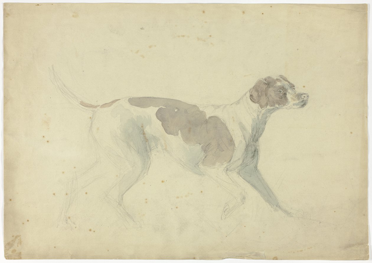 Cane da caccia (recto); schizzi di cavallo e cavaliere (verso) da Sawrey Gilpin