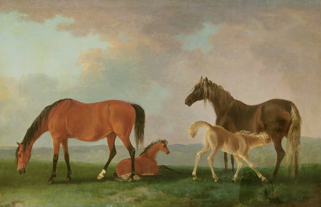 Cavalle e puledri da Sawrey Gilpin
