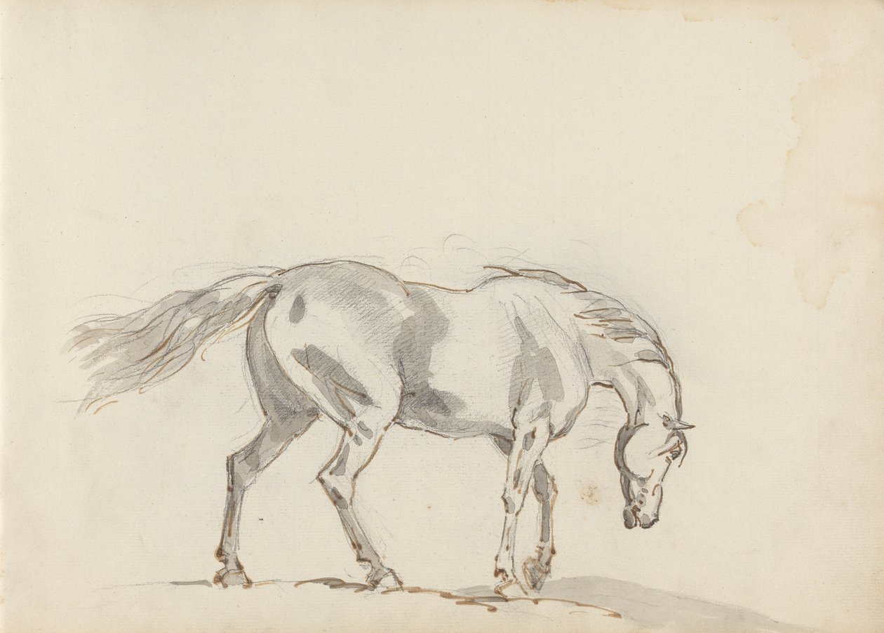 Disegno del taccuino da Sawrey Gilpin