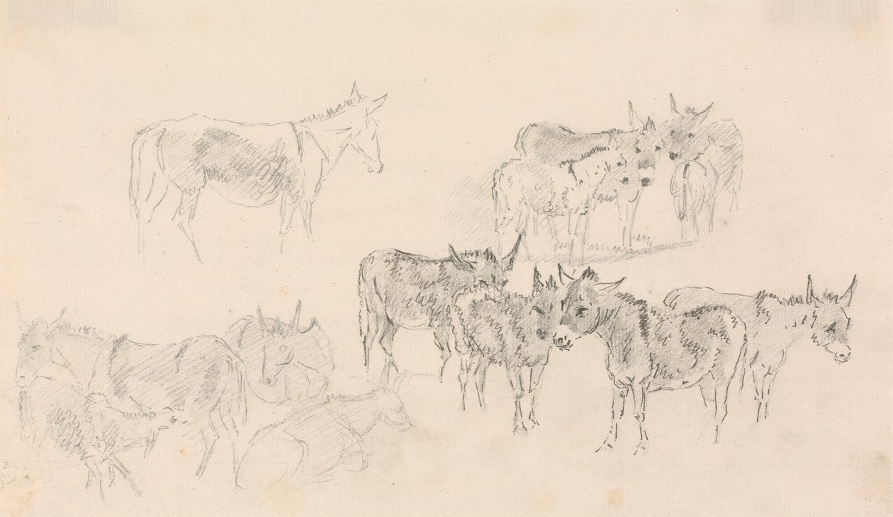 Studi di asini da Sawrey Gilpin