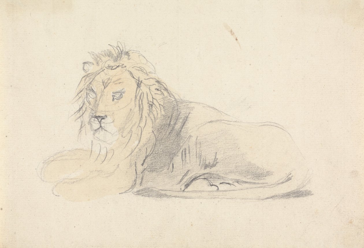 Studio di un leone da Sawrey Gilpin