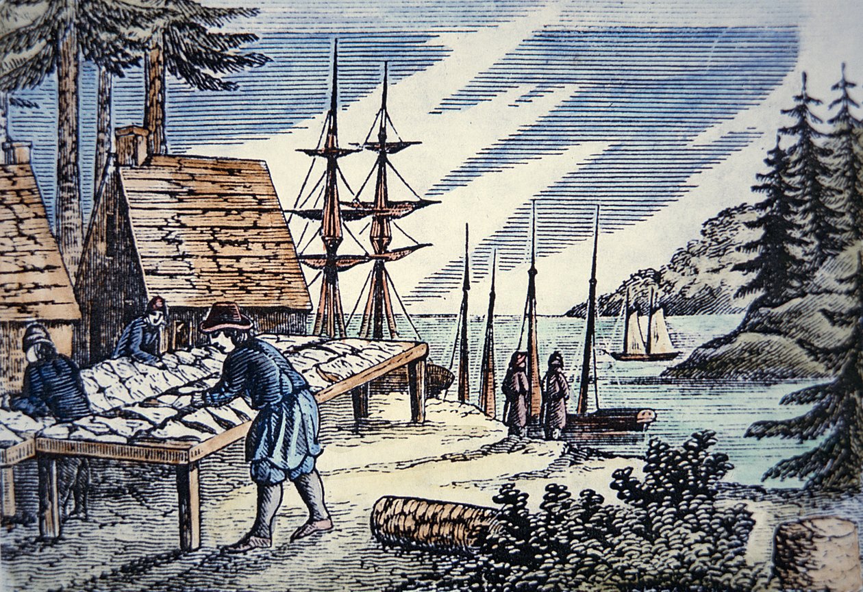 Pescatori che asciugano il merluzzo in Nuova Inghilterra, da un