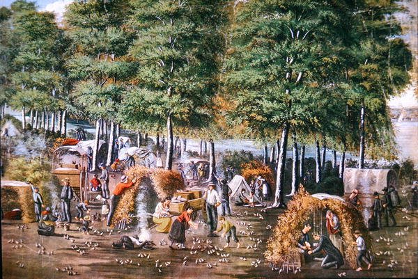 Il miracolo della quaglia da School American