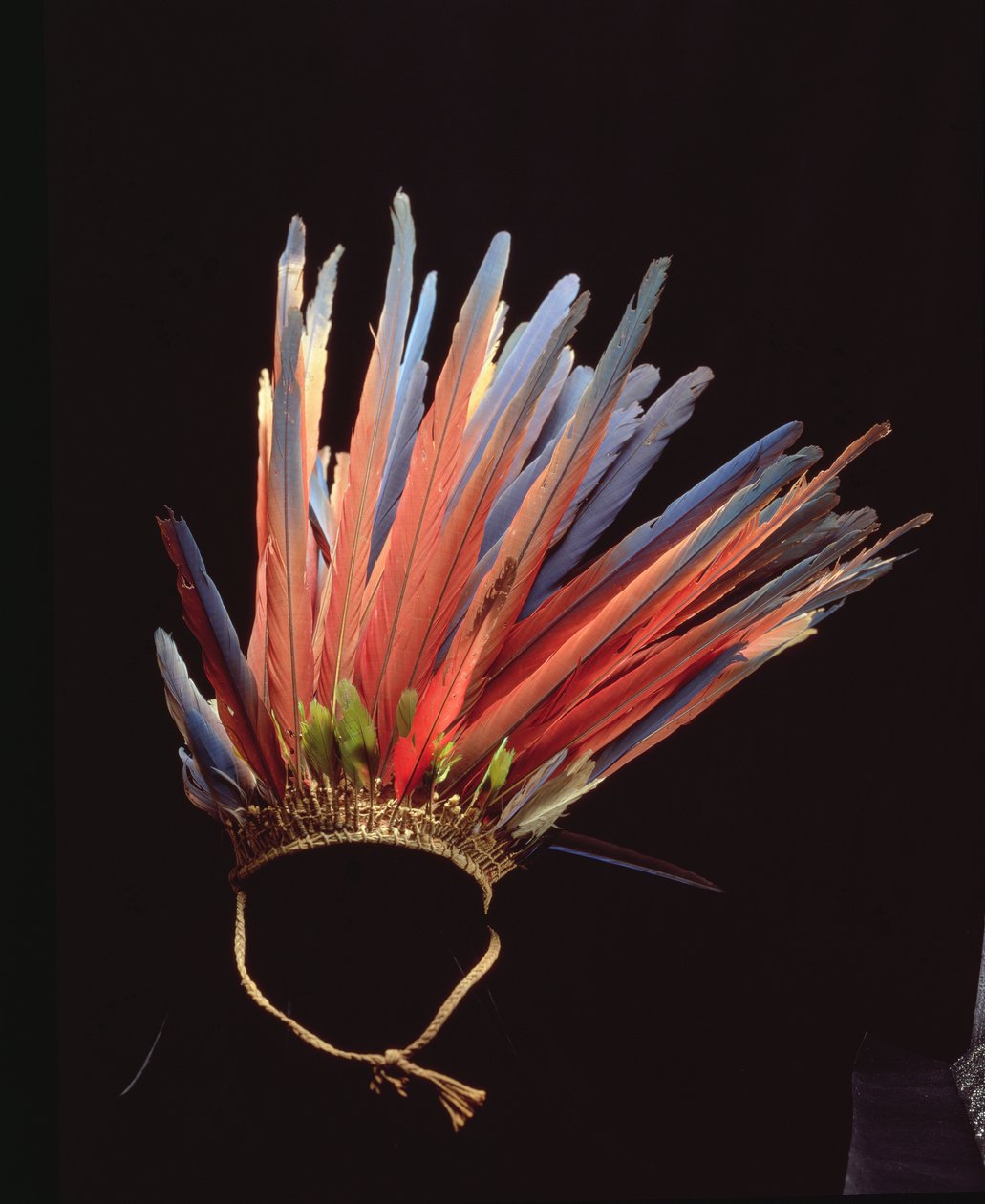 Copricapo, prima del 1853 circa (fibra e piume) da School Brazilian