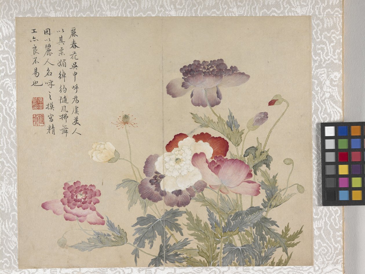 Album di 8 foglie di fiori, metà 1700 da School Chinese