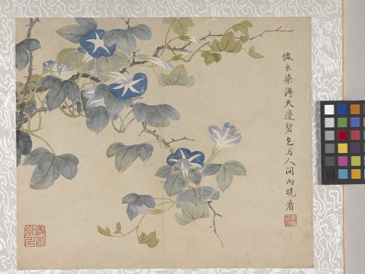 Album di 8 foglie di fiori, metà 1700 da School Chinese