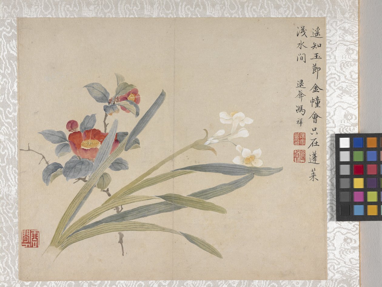 Album di 8 foglie di fiori, metà 1700 da School Chinese