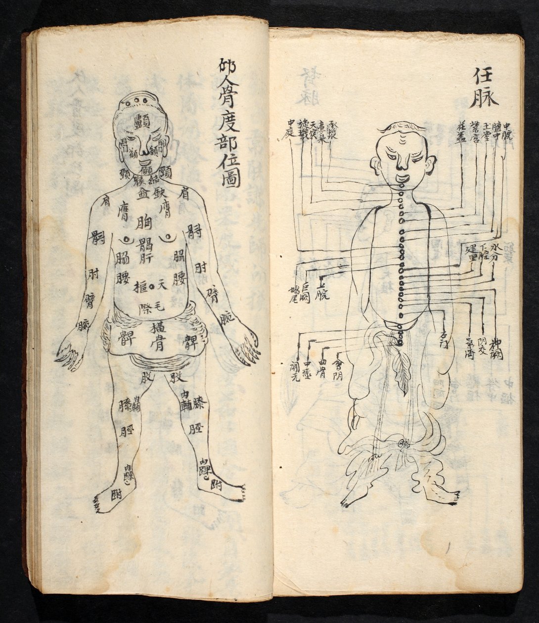 Punti di agopuntura lungo la linea centrale del corpo, da Jing Guan Qi Zhi, 