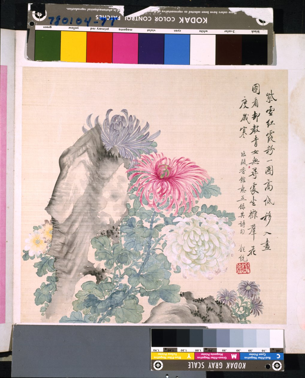 Album di fiori e uccelli da School Chinese