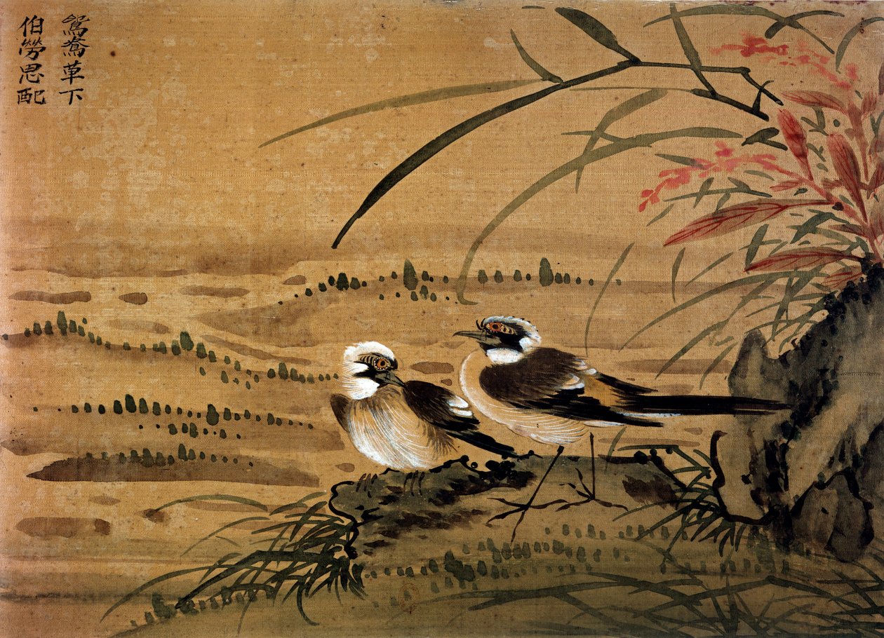 Arte cinese: Uccelli. Dipinto su seta di Li Youen Kien del XVI secolo. Parigi, BN da School Chinese