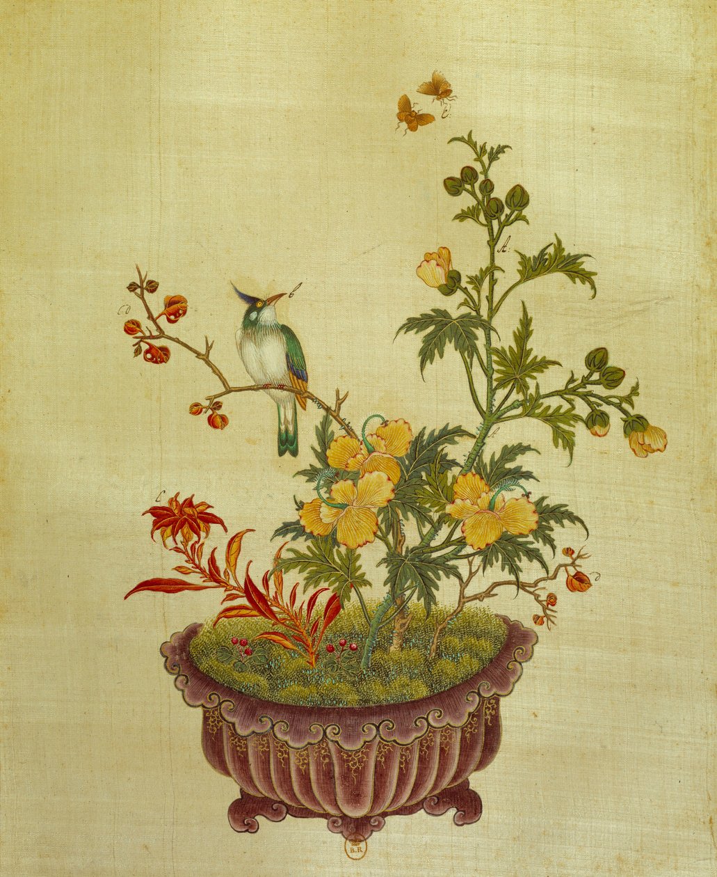 Arte cinese: pittura su seta di fiori e uccelli. Anonimo del XVIII secolo. Parigi, BN da School Chinese