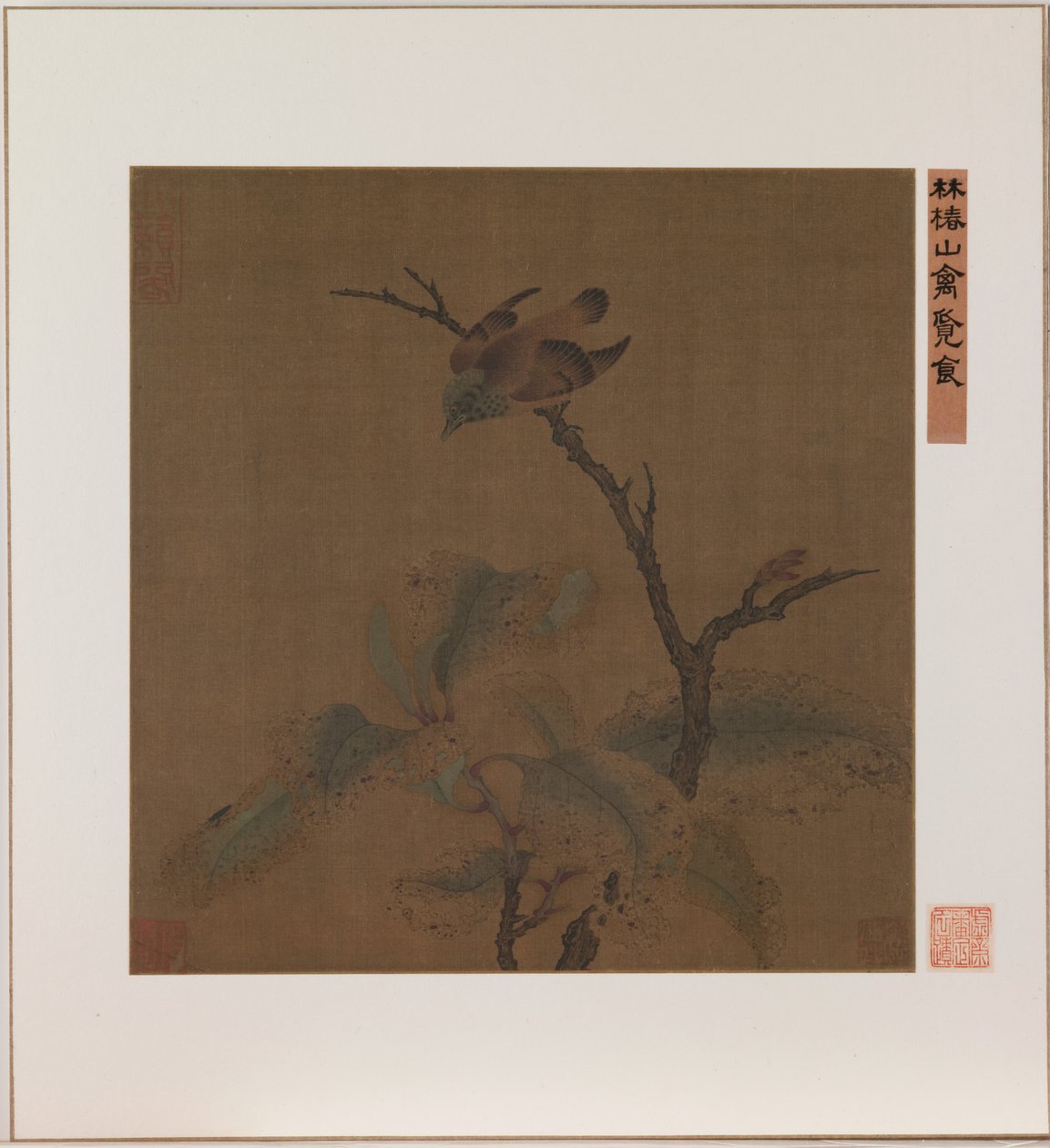 Uccello su un ramo (inchiostro e colore su seta) da School Chinese