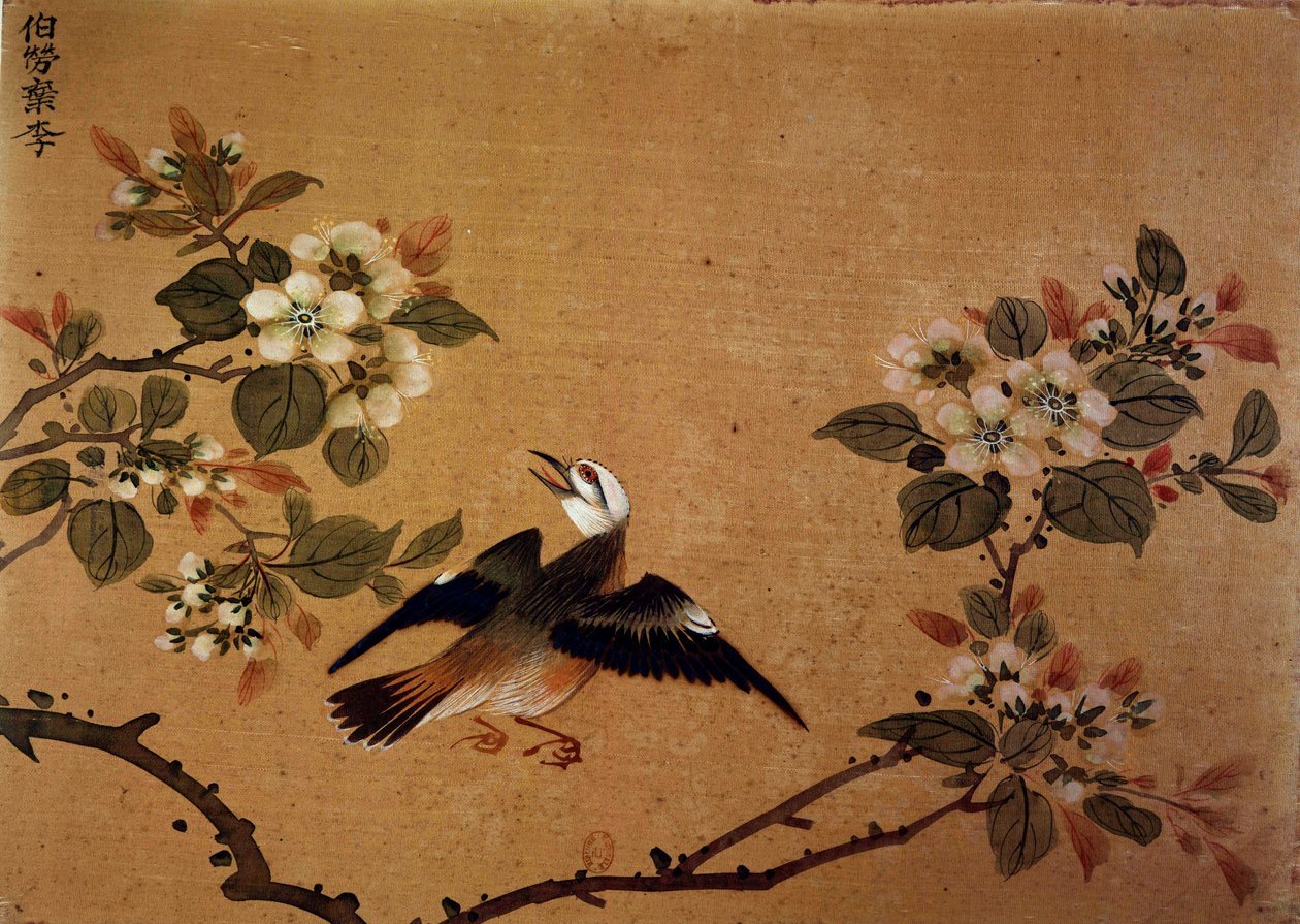 Arte cinese: uccello e fiori, dipinto su seta del XVI secolo da School Chinese