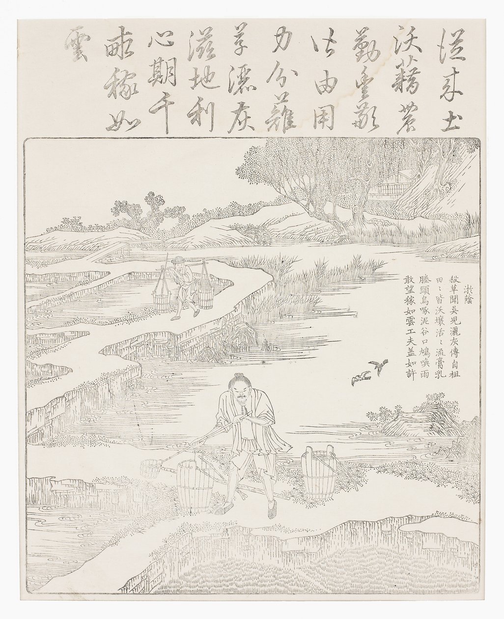 Fertilizzazione delle piantine di riso da School Chinese