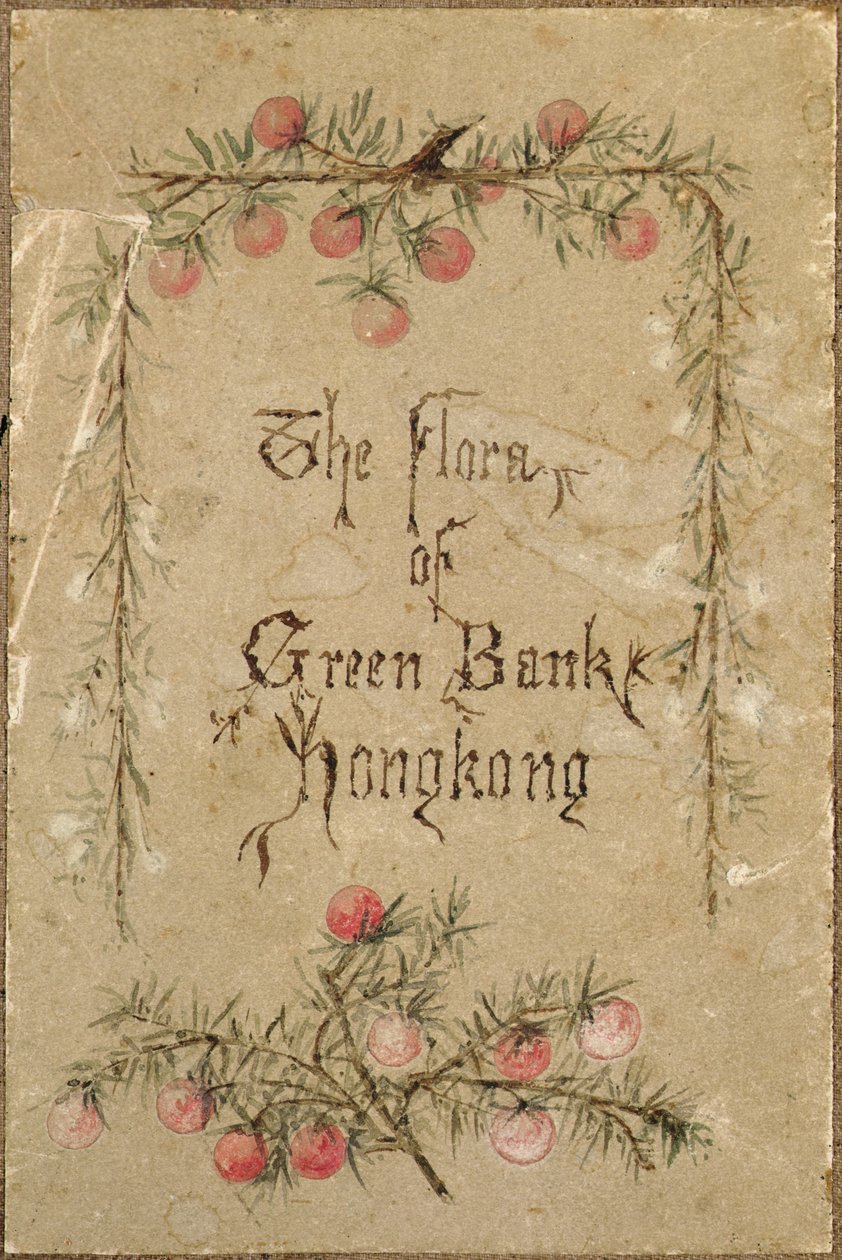 Dal giardino di Green Bank, Hong Kong da School Chinese