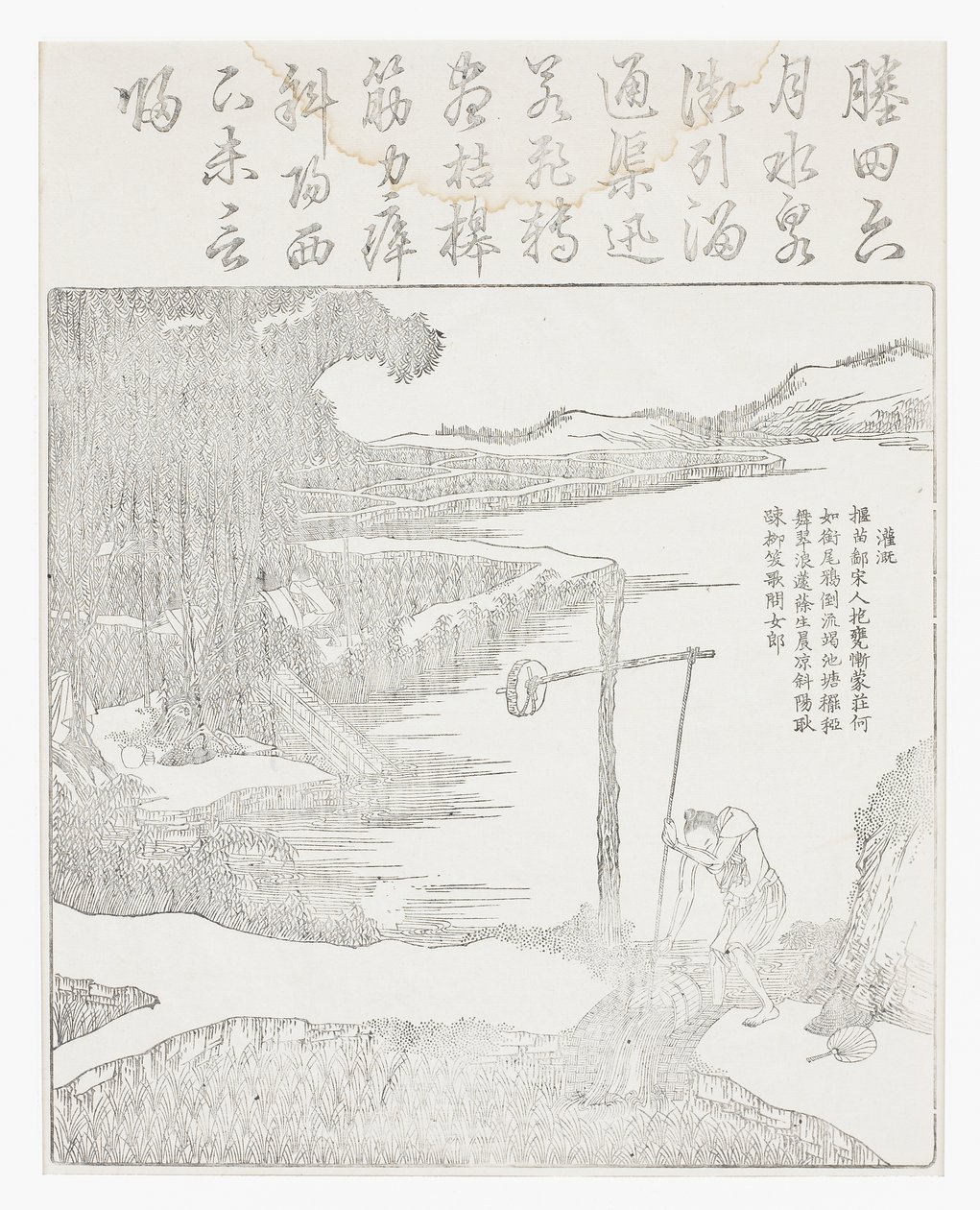 Irrigazione del campo di riso da School Chinese