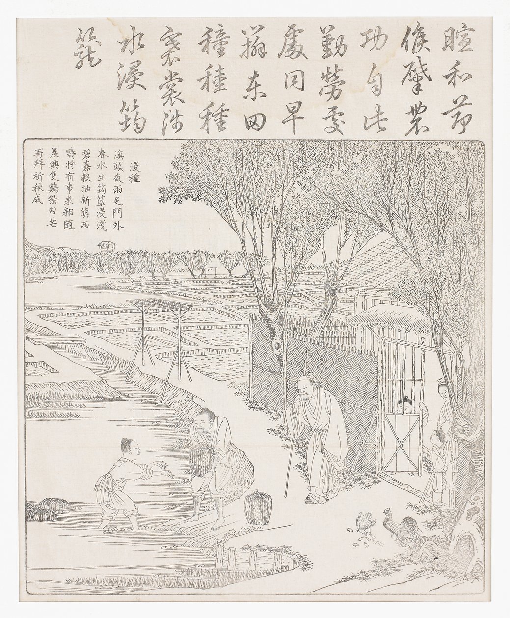 Mettere il riso in acqua per favorire la germinazione da School Chinese