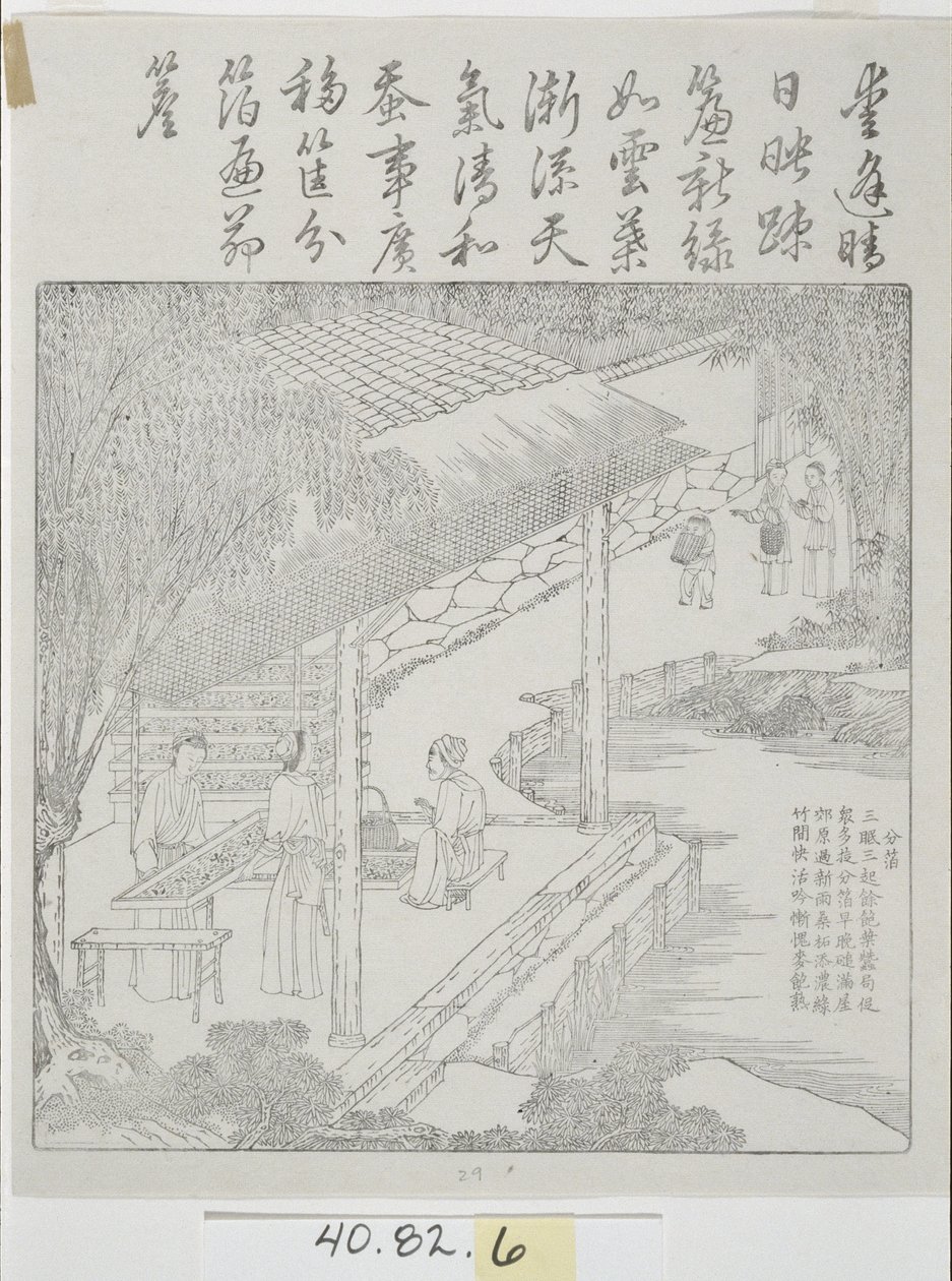 Serie di xilografie, Cultura della seta da School Chinese