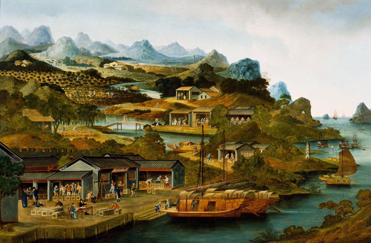 Produzione di tè in Cina, Guangzhou, Cina da School Chinese