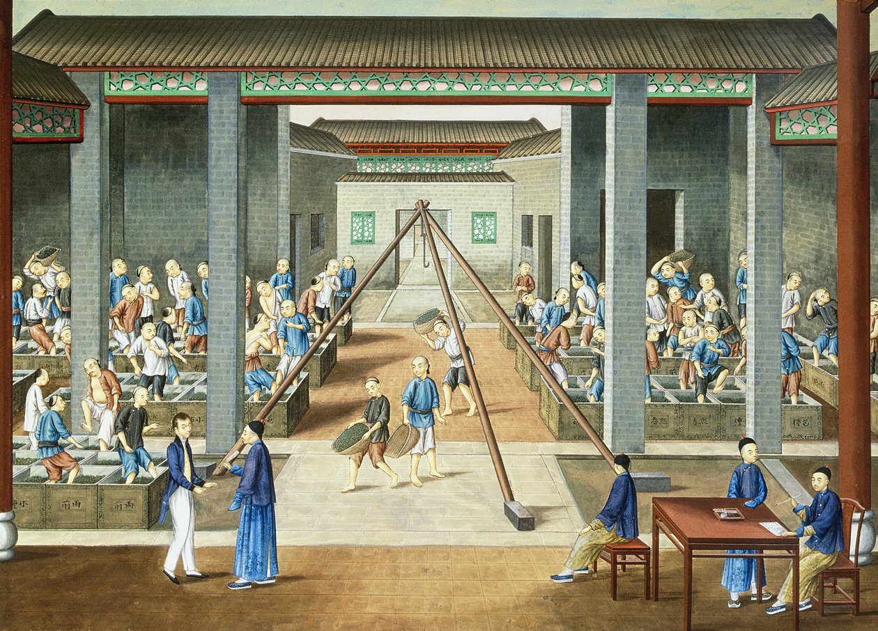 Cultura del tè: pesare e acquistare il tè (gouache su carta) da School Chinese
