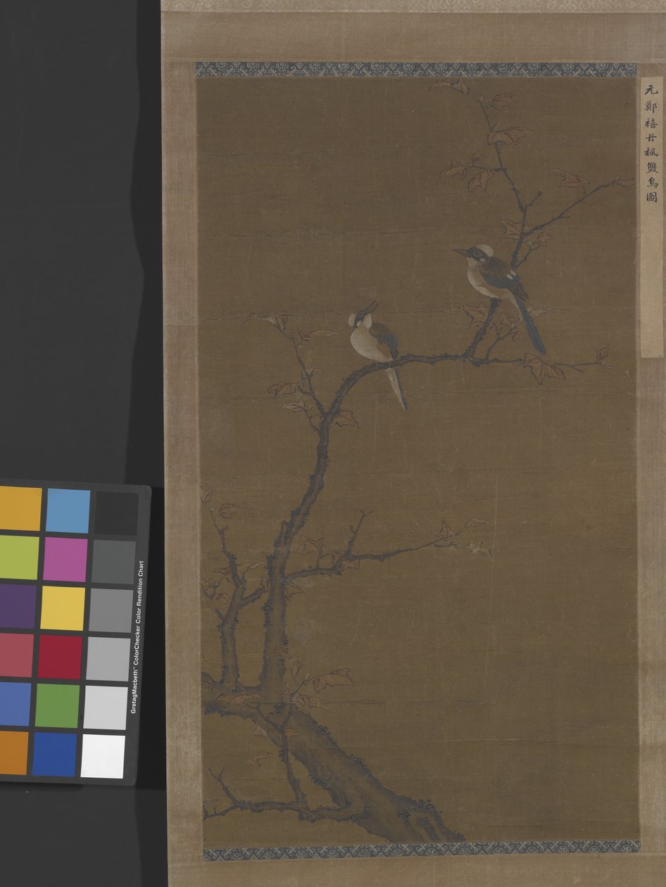 Due uccelli su un acero rosso, circa 1350 da School Chinese