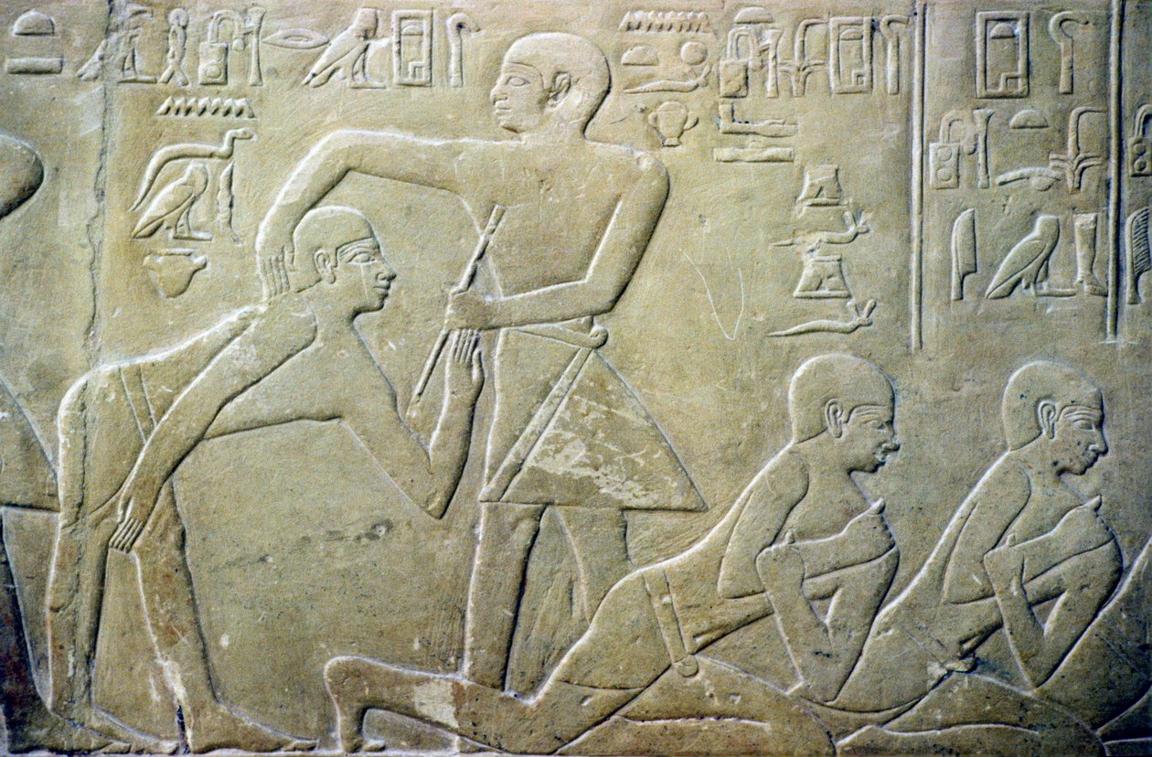 Antico Egitto, Rilievo, Anziani del villaggio costretti ad ammettere i loro errori nelle dichiarazioni fiscali ai funzionari, Tomba di Merereuka, VI dinastia da School Egyptian